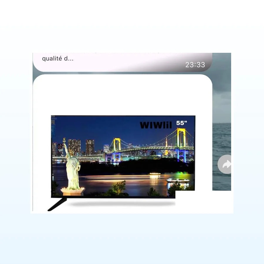 TÉLÉVISEUR WIWIII 55
