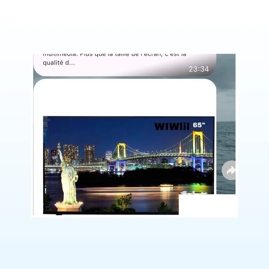TÉLÉVISEUR WIWIII 65