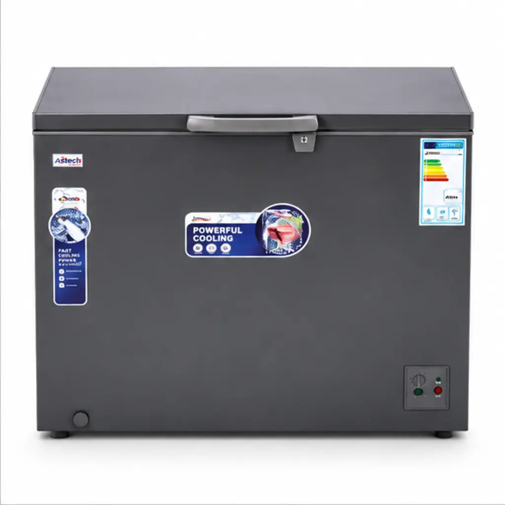 CONGELATEUR ASTECH HORIZONTAL 300L GRIS CH300IG — vue 2