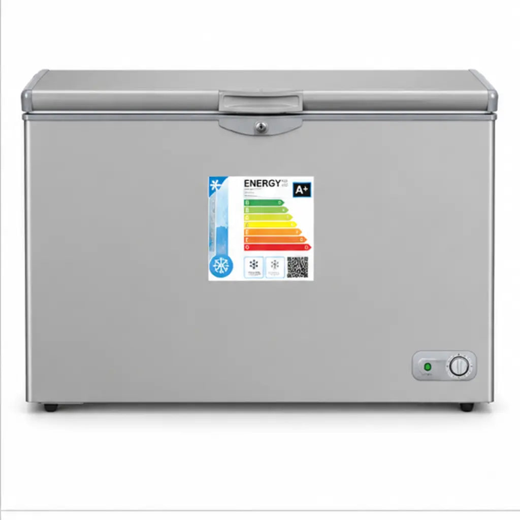 CONGELATEUR ROCH HORIZONTAL 300L GRIS RCF300B — vue 2
