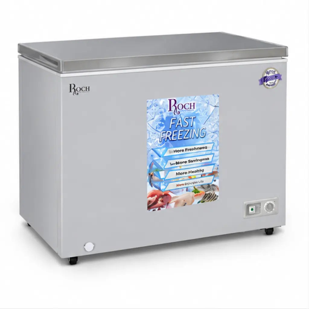 CONGELATEUR ROCH HORIZONTAL 400L GRIS RCF4001 — vue 1