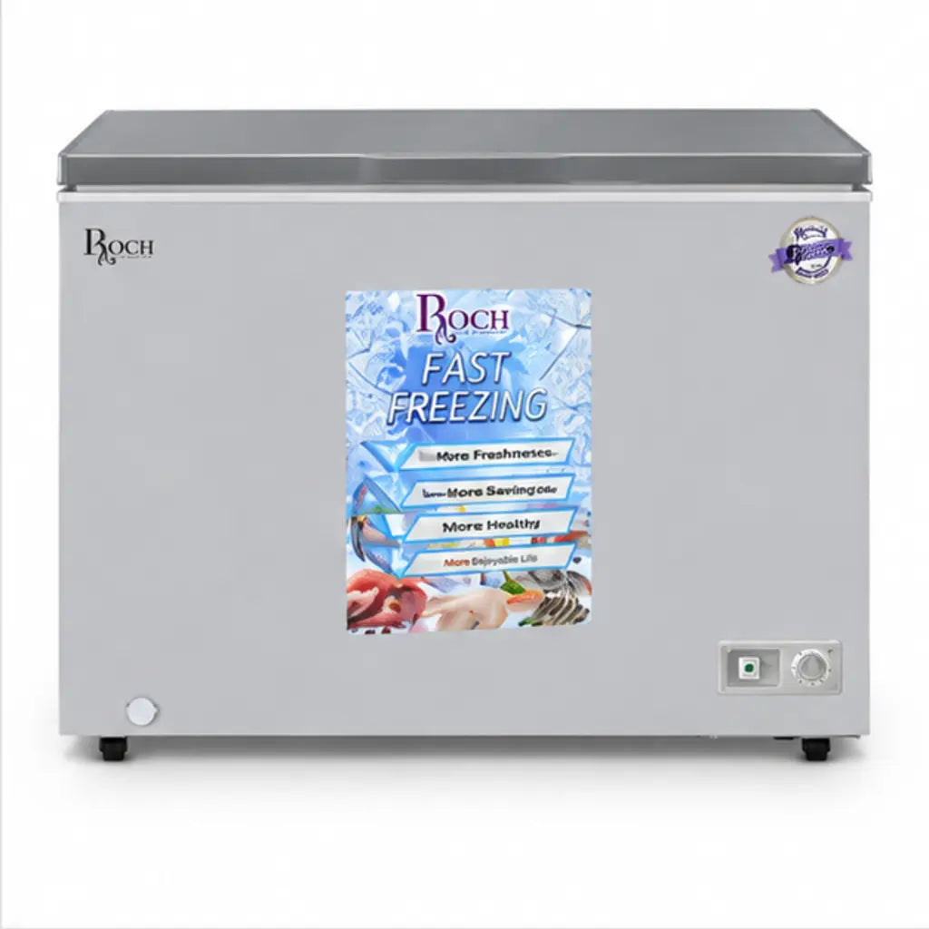 CONGELATEUR ROCH HORIZONTAL 400L GRIS RCF4001 — vue 2