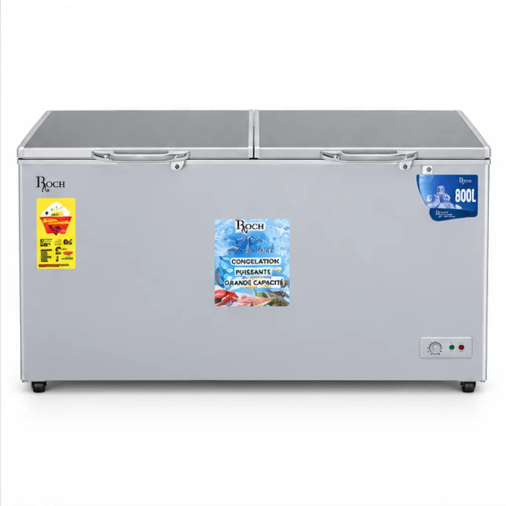 CONGELATEUR ROCH HORIZONTAL 800L GRIS RCF750DD — vue 2